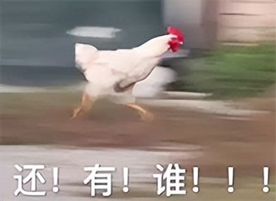 在搞鸡这方面，日本人可能是最专业的