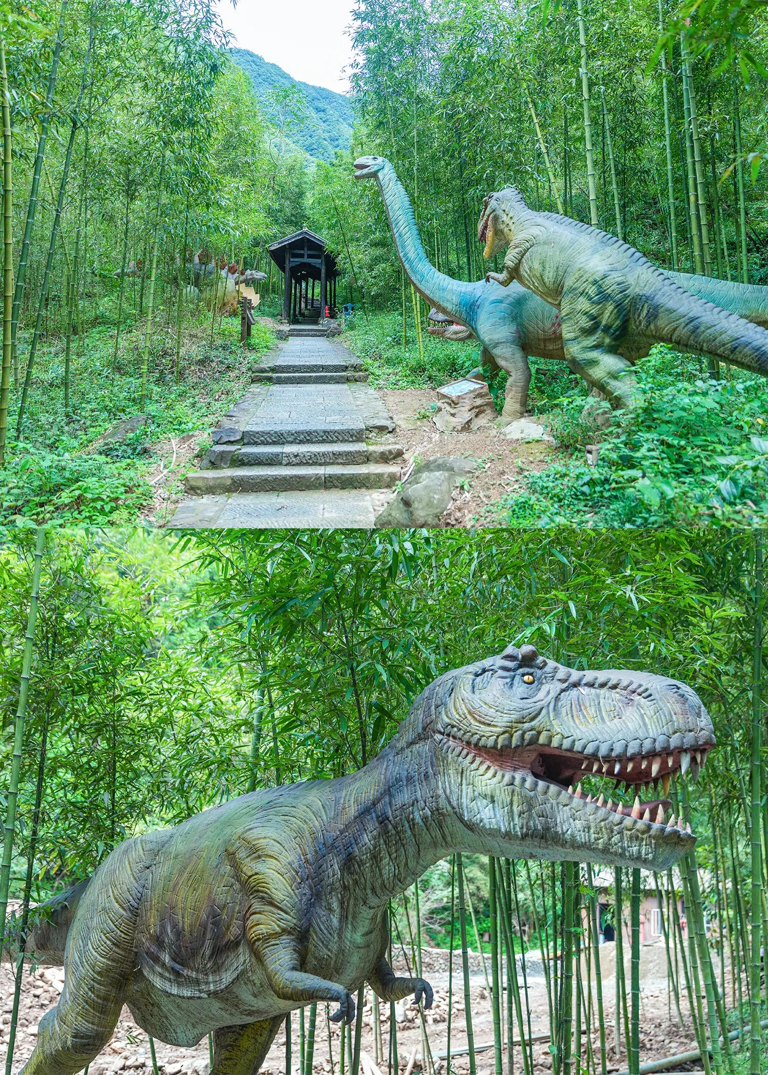 江浙沪游山玩水景点推荐大全,江浙沪夏日旅游好去处