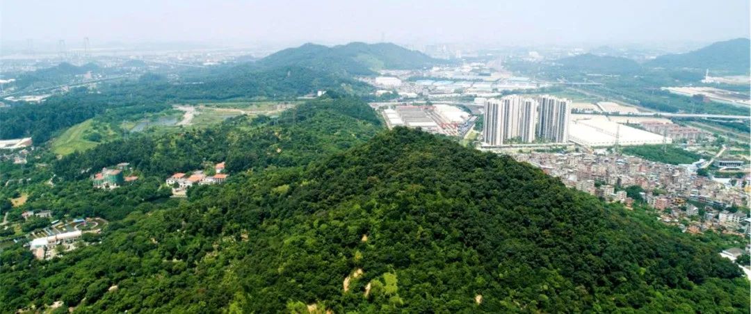 富力再造一座新城「富力新城」珠城30分钟通勤圈内，刚需赶紧上车