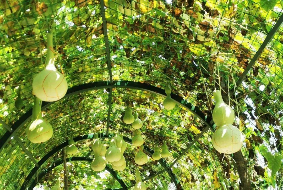 周国元免费阅读,周国元介绍