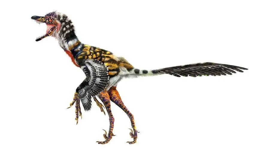 会飞的恐龙分别都是什么样子,会飞的恐龙大全