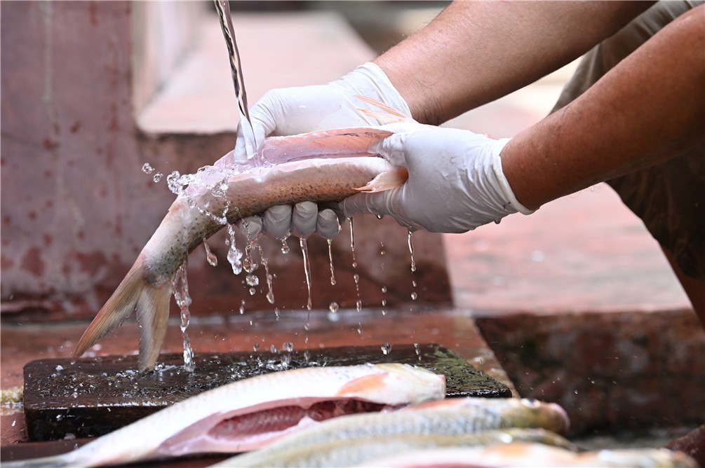 江边水丸,东莞江边水丸