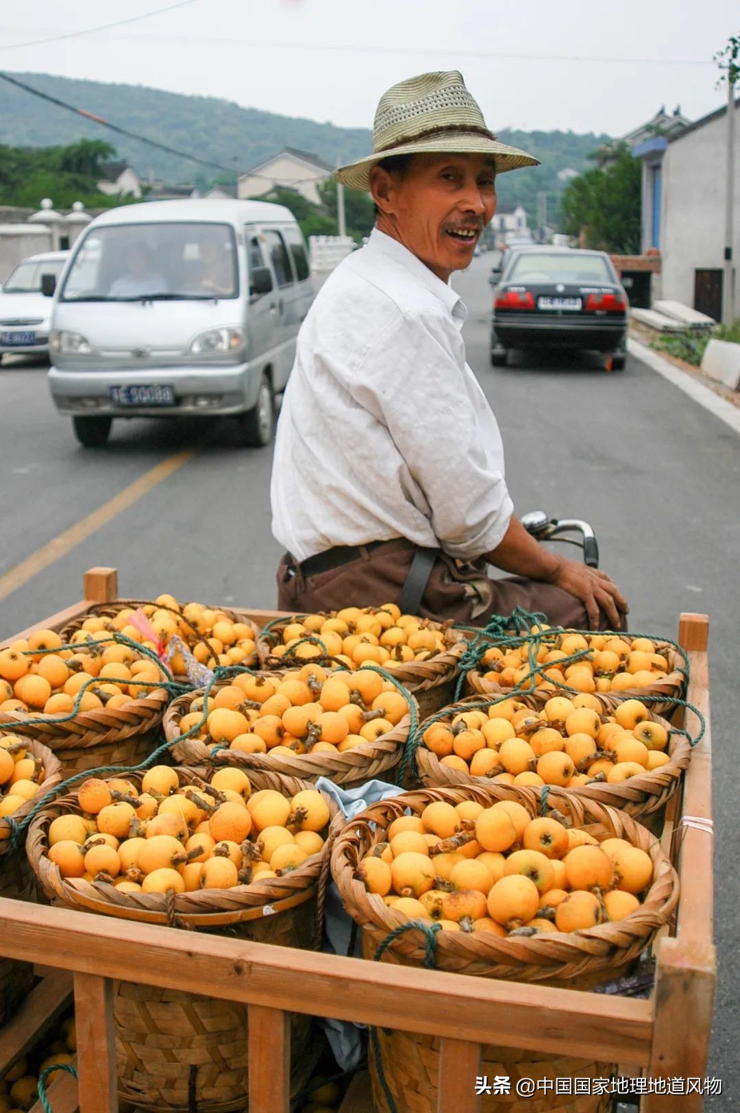 北方人认识枇杷吗,南方人有多爱嗦粉