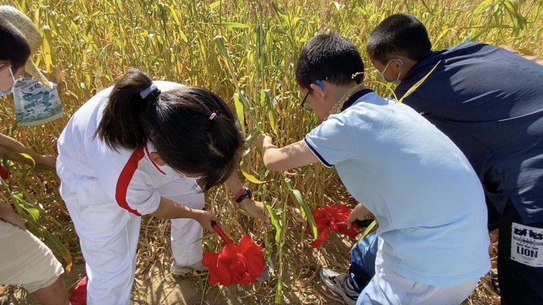 行走中轴线|祭天敬农：南中轴线上的两颗明珠