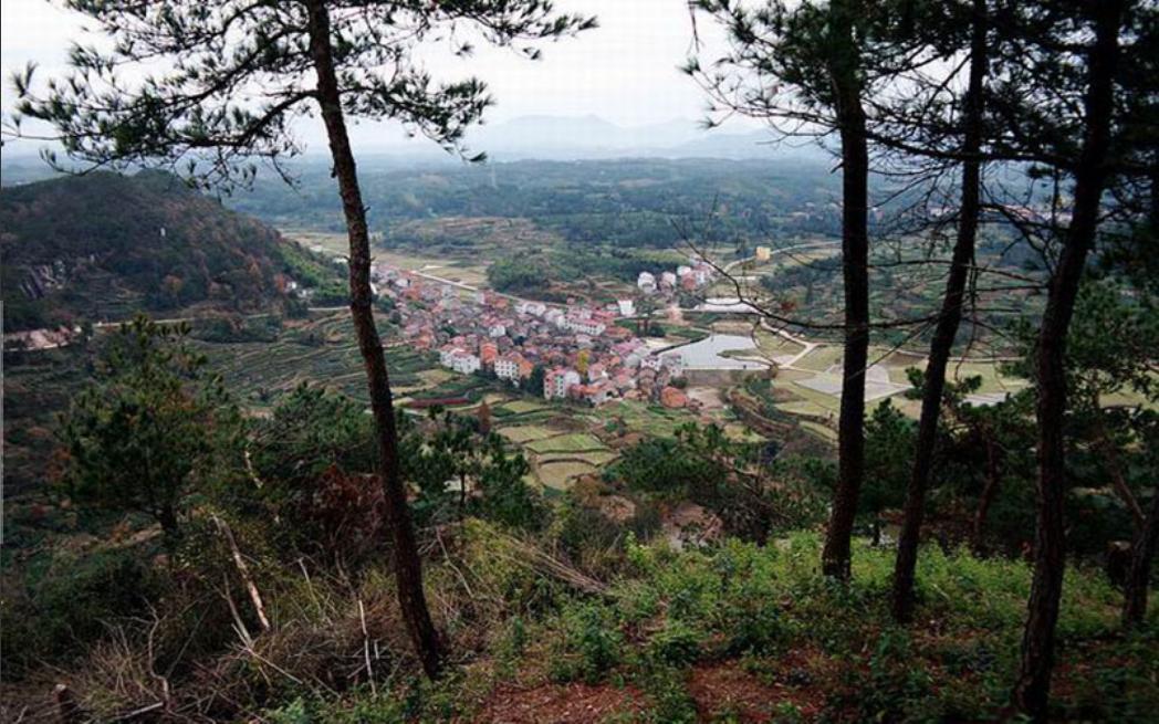 2000年女孩相亲注重外表,2000年的女孩相亲