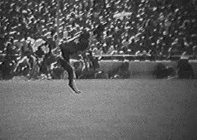 惠比特犬夜猎兔视频最新,惠比特犬猎兔视频国外