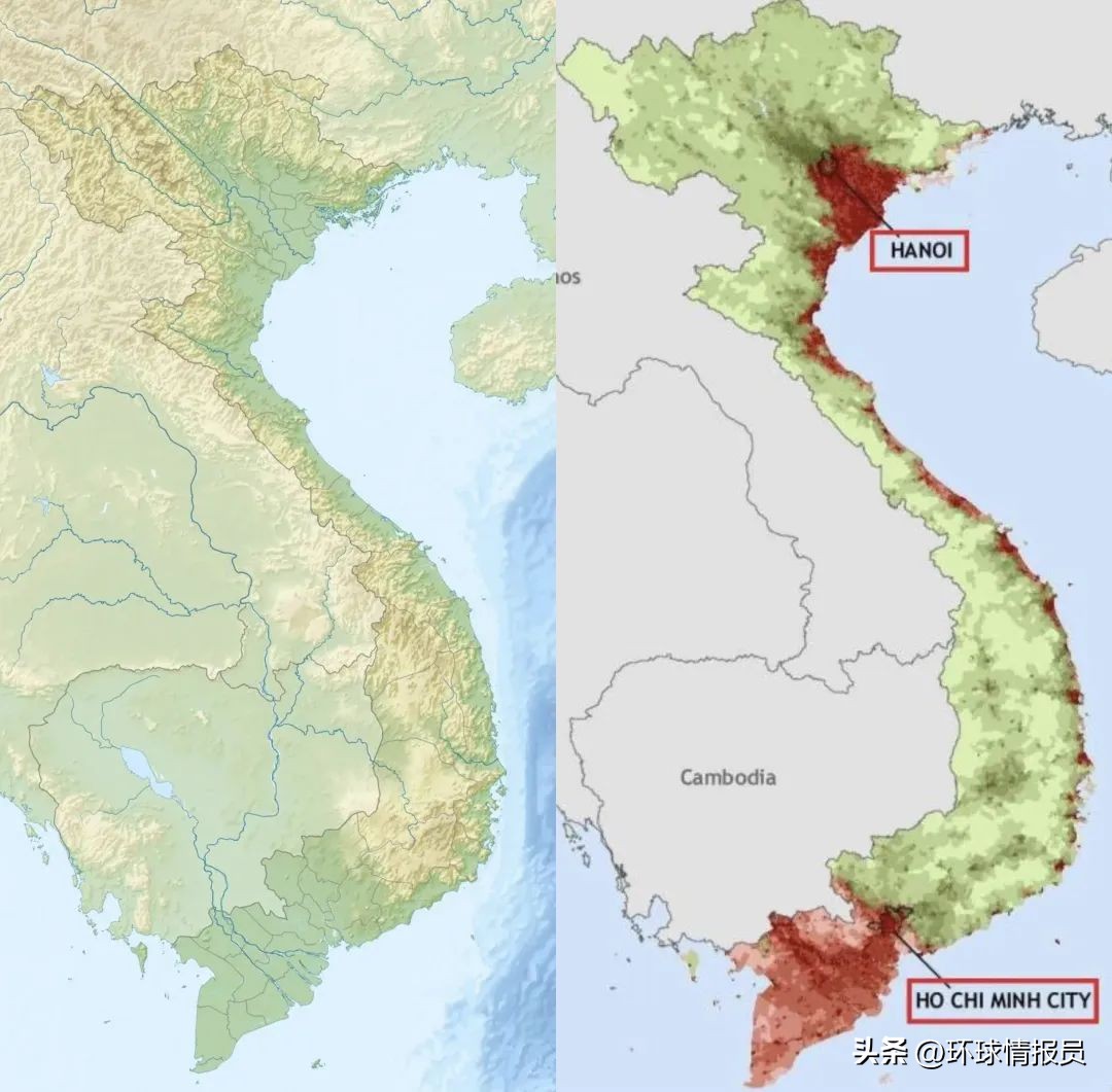 猫也能混进十二生肖？越南为什么不过兔年，而是过猫年？