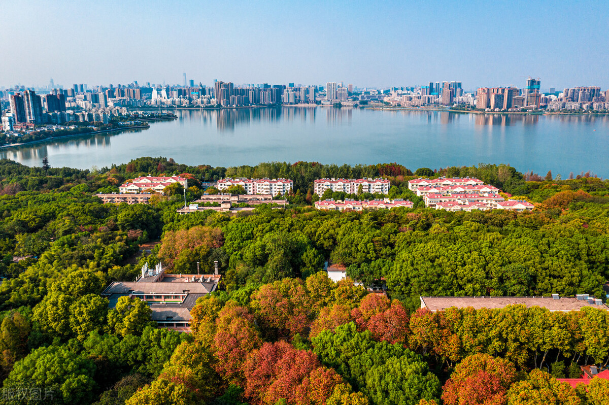 华中农业大学网络教育专升本,华中农业大学专升本要求