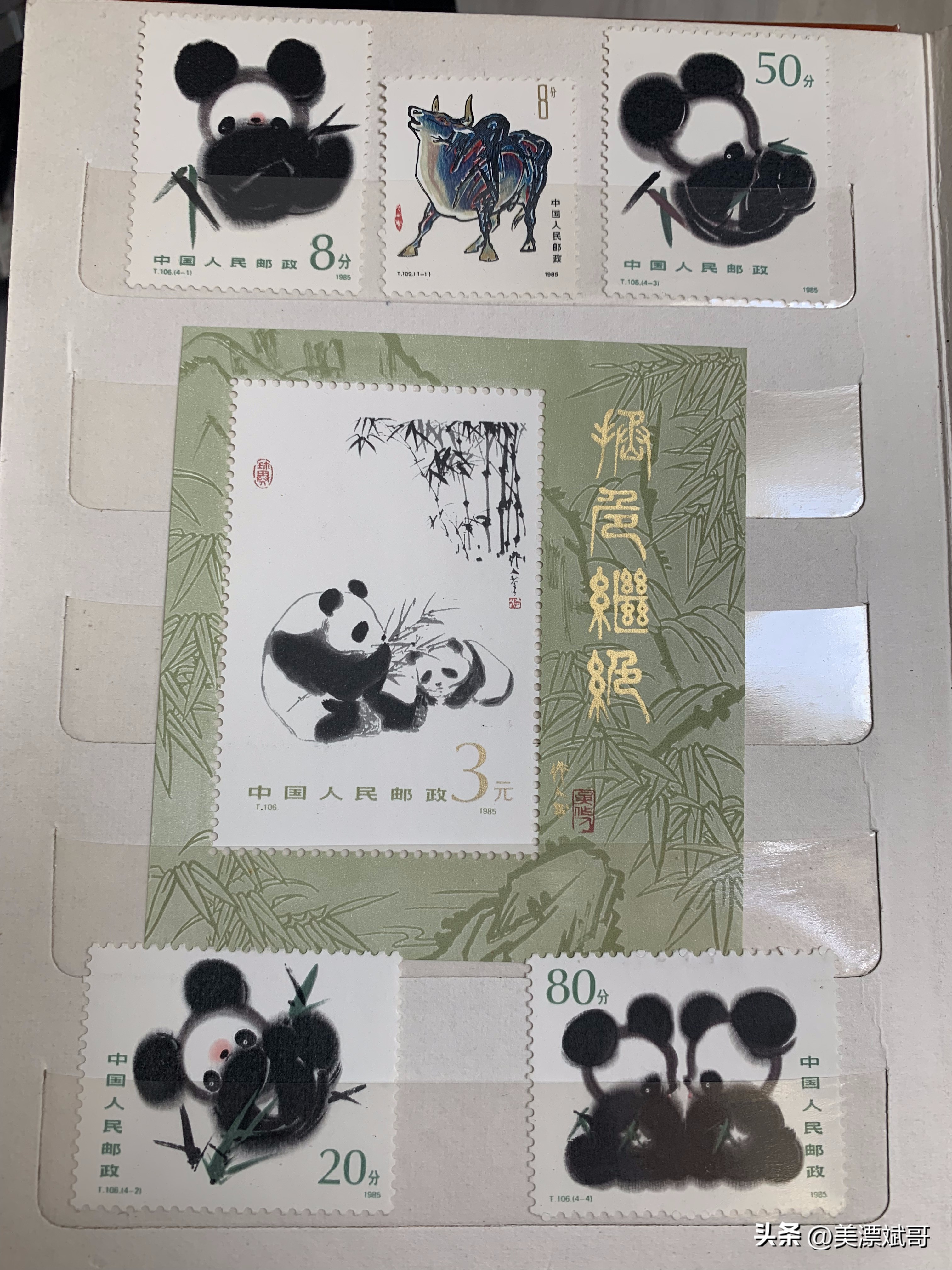 海淘绘本开箱,海淘购买开箱