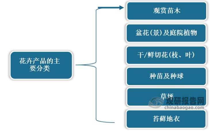 大棚花卉市场的前景如何,小型花卉市场有前景吗