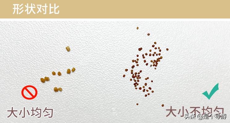 海藻面膜海藻是哪儿来的,海藻面膜的海藻是陆地上的吗