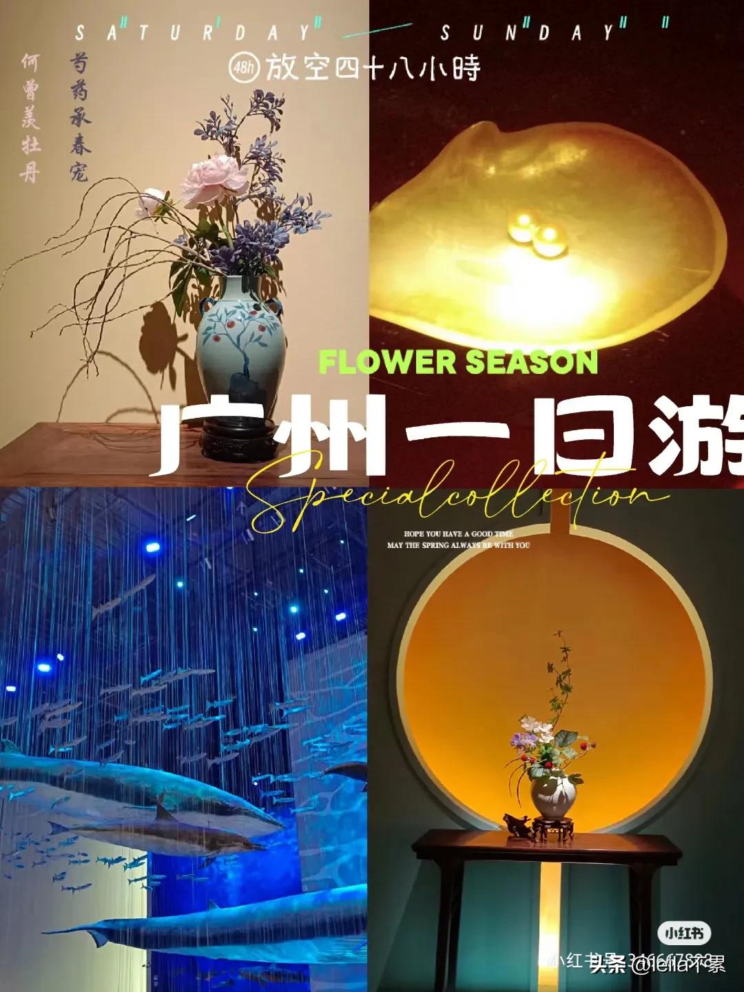 广州景区一日游,广州一日游旅行