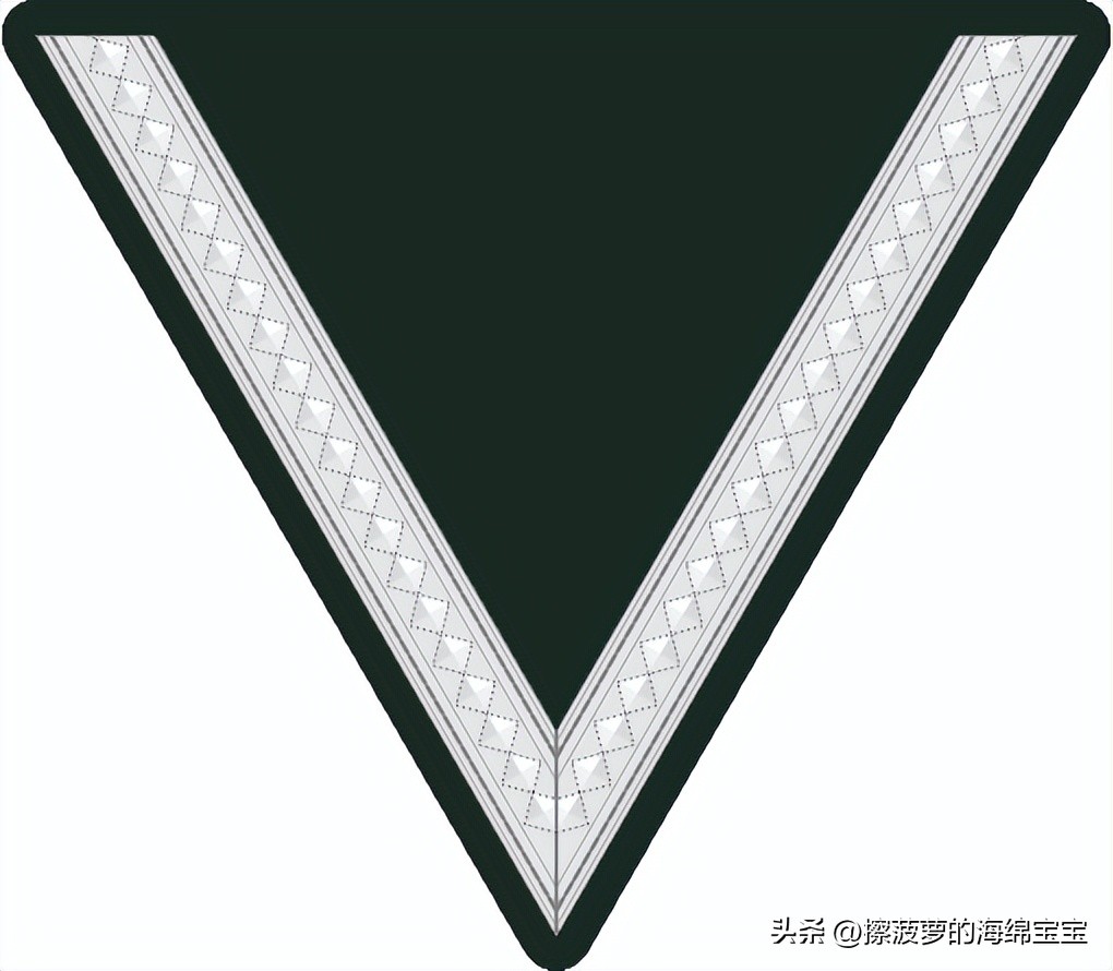 二战德国国防军医疗兵军衔标志