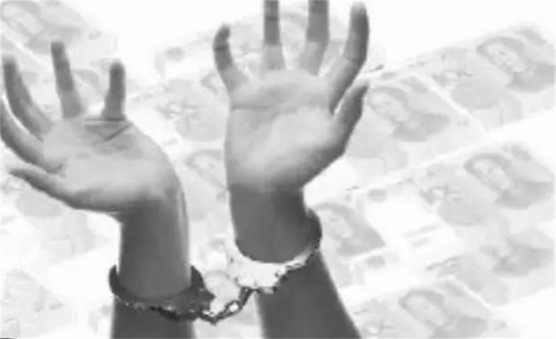 一女子诈骗30万视频,一女子被诈骗1000万