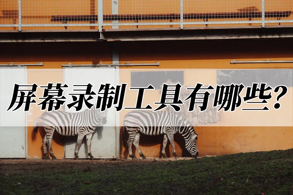 屏幕录制工具有哪些?分享两种录制方法