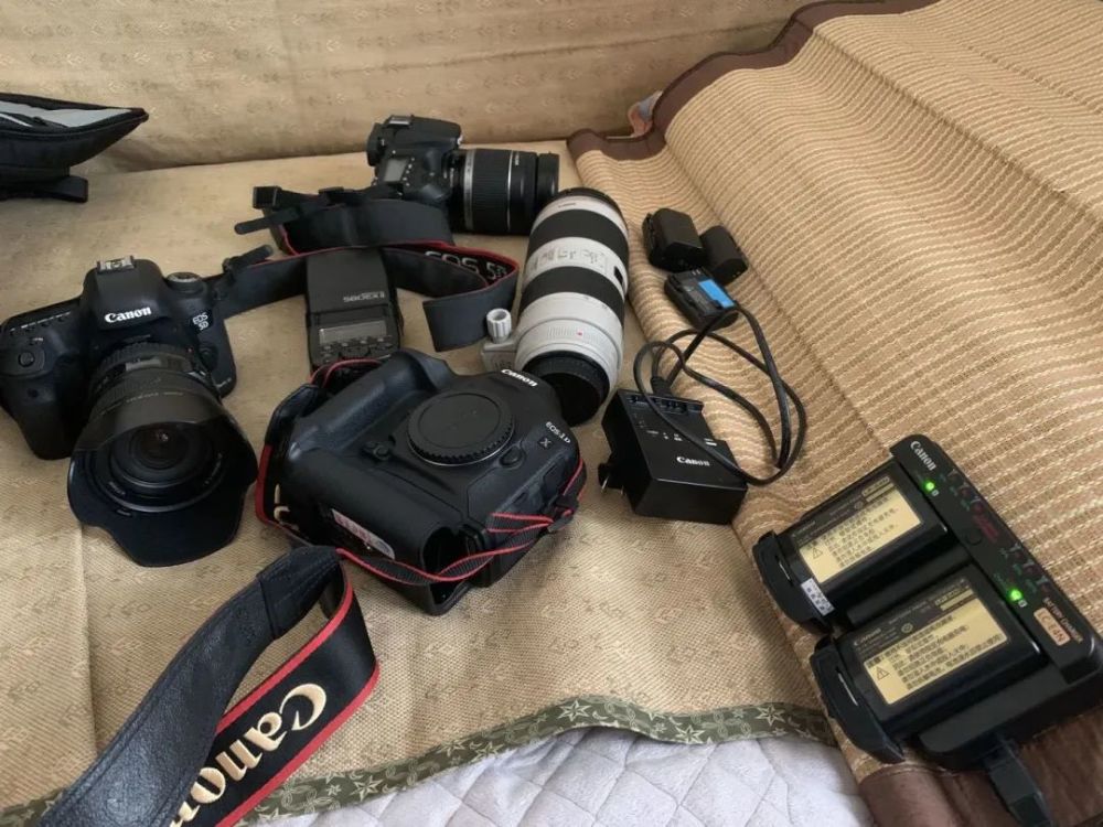 佟瑶溺水死亡司机有责任吗,佟瑶落水视频