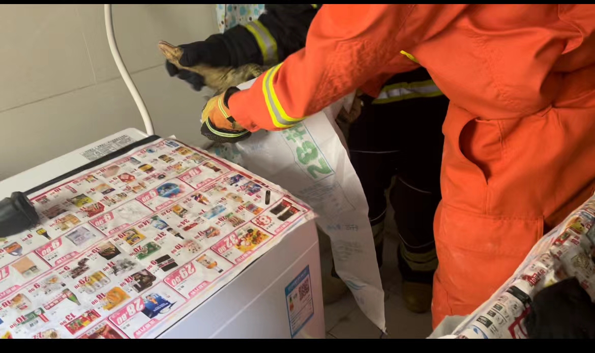 消防员抓蜥蜴视频,广西男子家房顶出现巨大蜥蜴