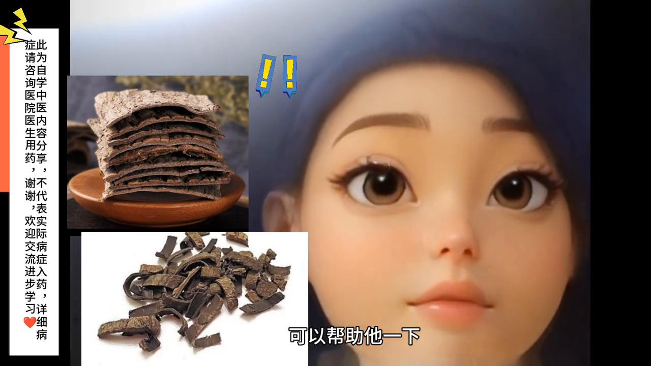 中药材杜仲金樱子,中药杜仲的故事