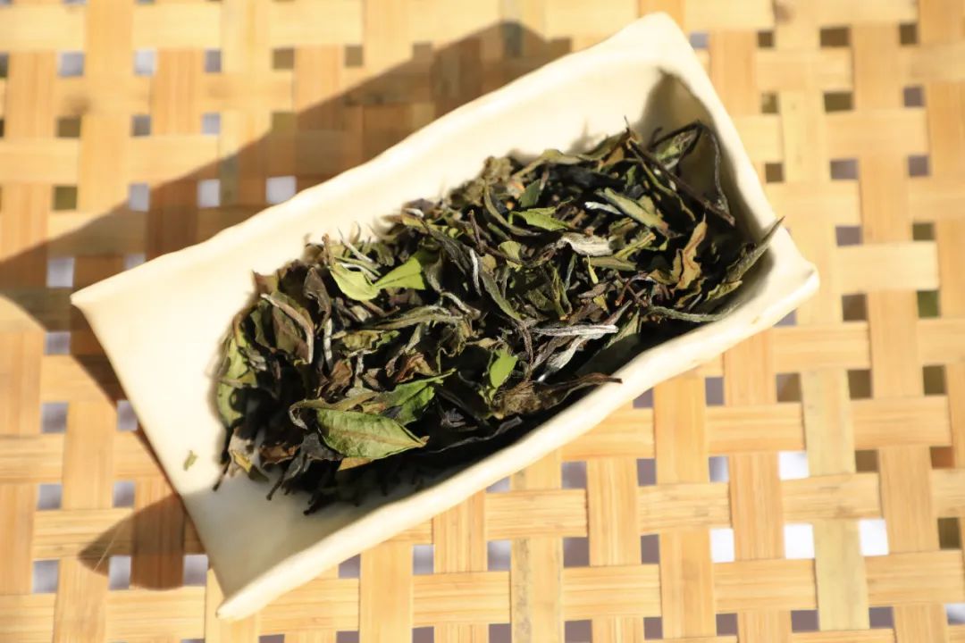 今晚有茶|来自“白水岩”的三泡茶，山水之间的柔和刚