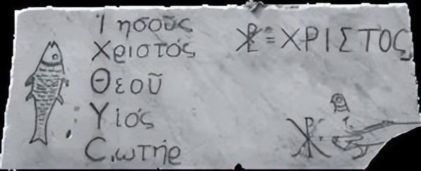 人鱼是怎样变成美人鱼的,丑人鱼变美长什么样子