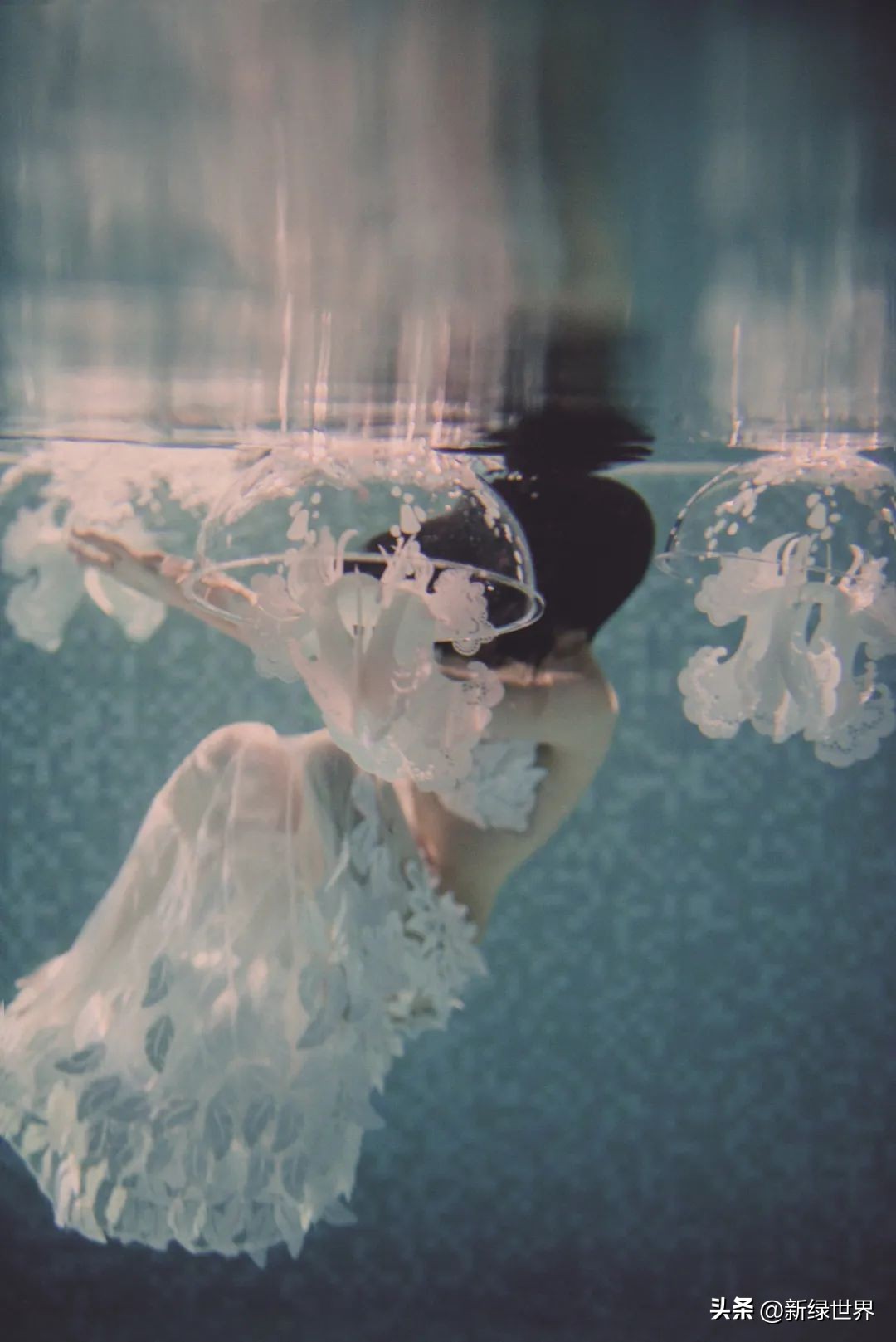 一组纸艺作品,令人惊艳的纸艺作品