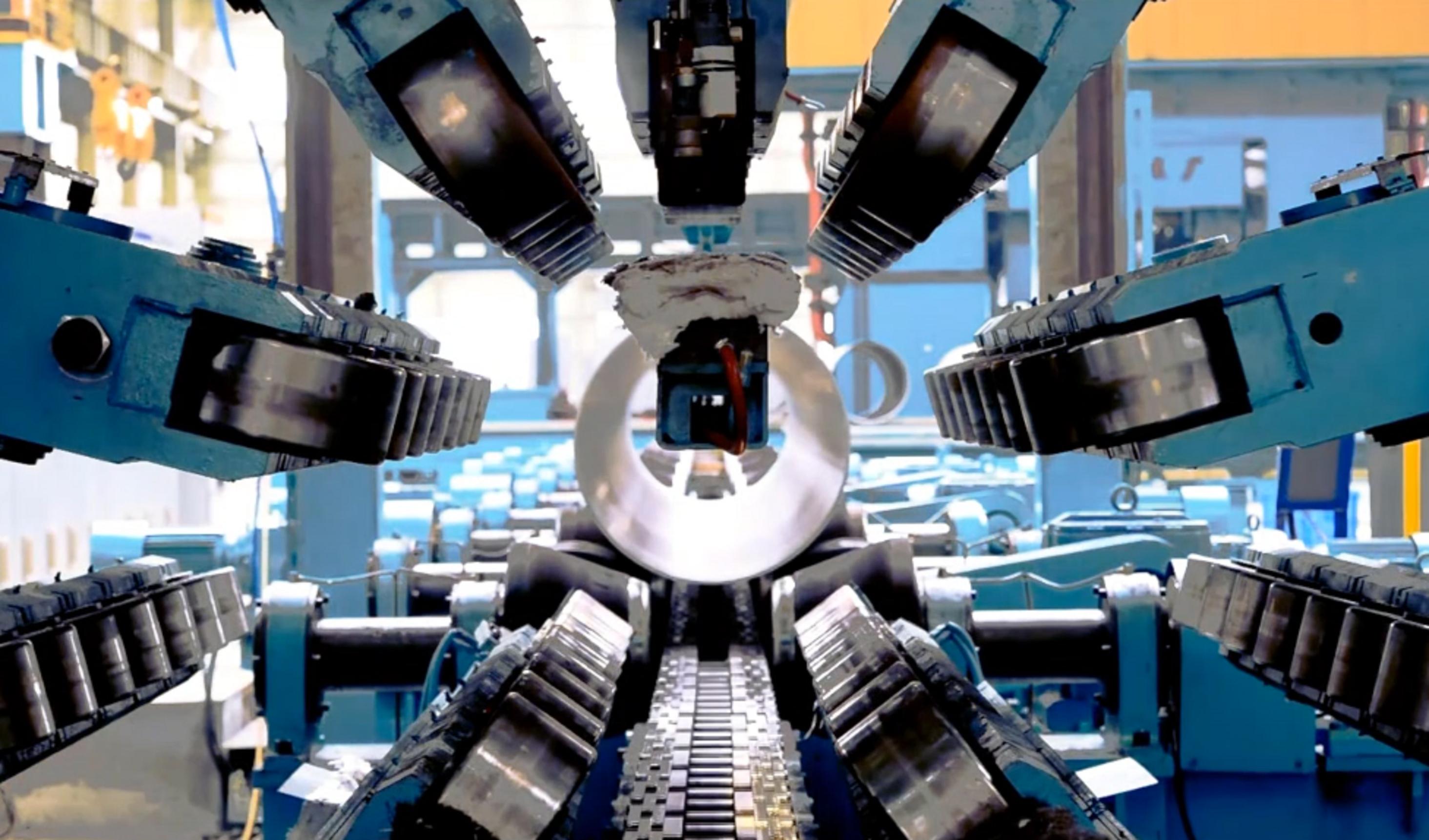 浙江大黑马,浙江黑马