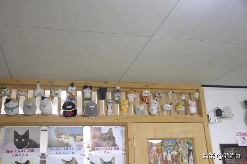 内地办理香港特区护照,香港护照跟中国护照