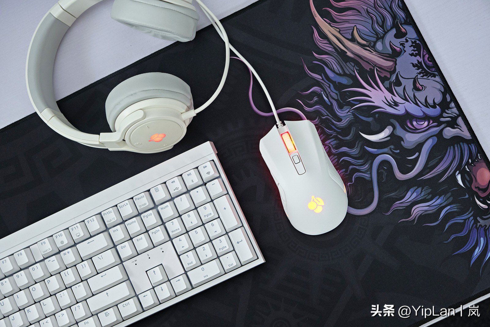 cherry澶栬鎺ㄨ崘,cherry澶栬鍜嬫牱