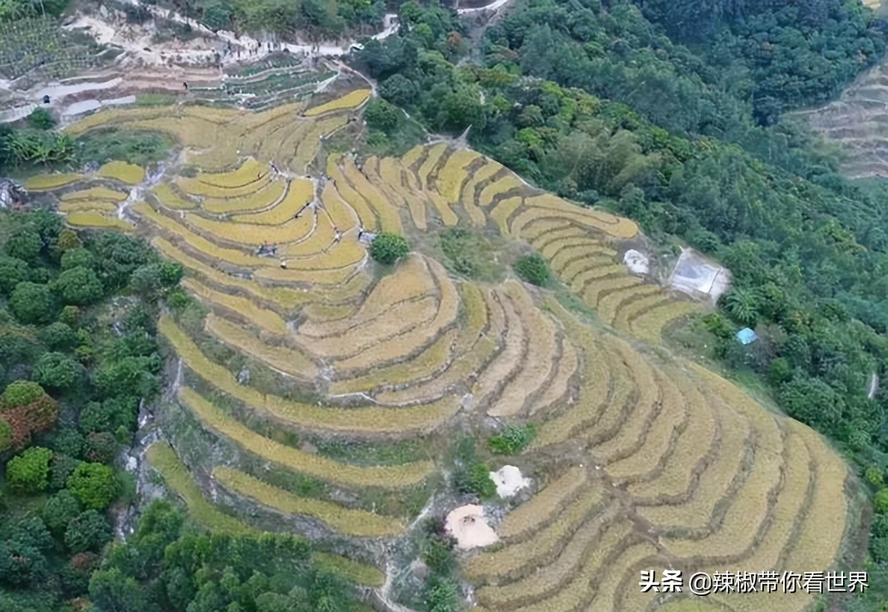 惠州市海岸线,惠州的海岸线