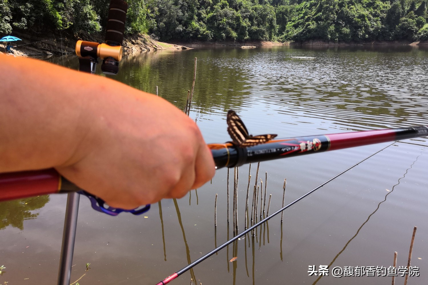 为什么钓鱼那么多爆竿,钓鱼出现爆竿是什么意思
