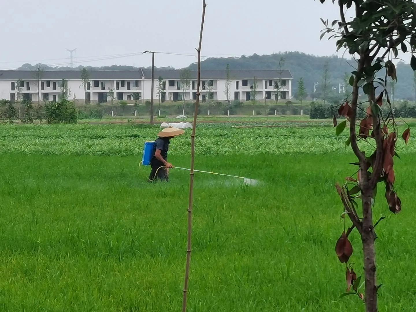 南腔北调团团带你领略方言魅力,南腔北调方言演出