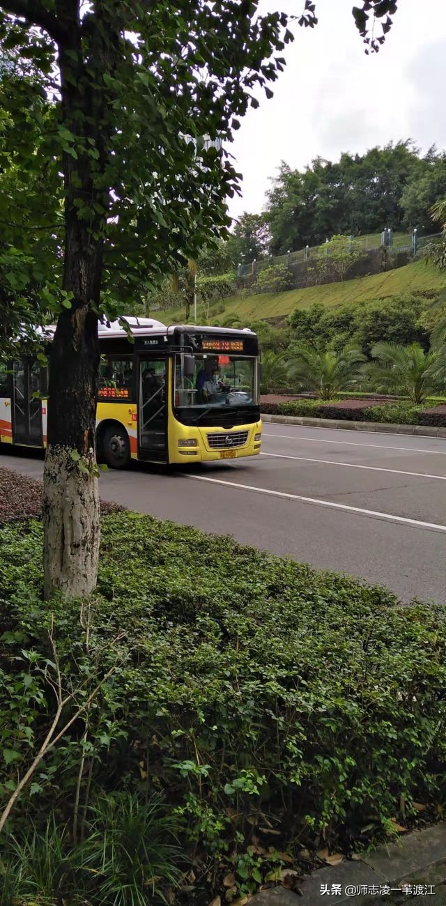 回到重庆之十四：我在渝江压铸的日子（上）