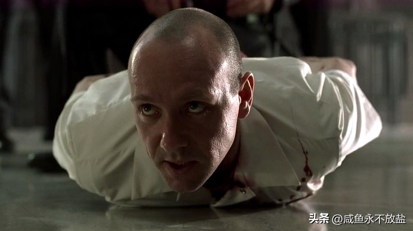 电影的隐喻性表达,谈谈电影中的隐喻