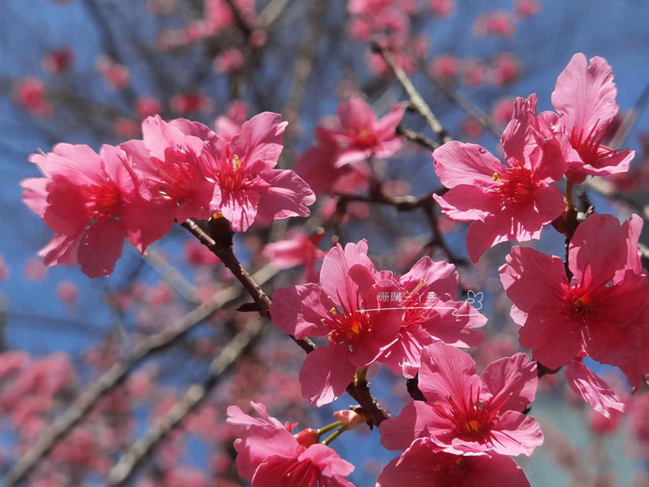 城市会客厅广州,广州城市会客厅