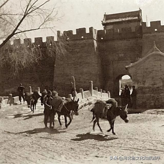 张家口如何从“旱码头”逆袭为“国际张”？