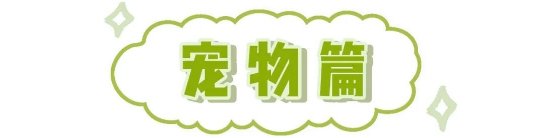 网购省钱的5个小绝招,网购学会这些省钱关键词
