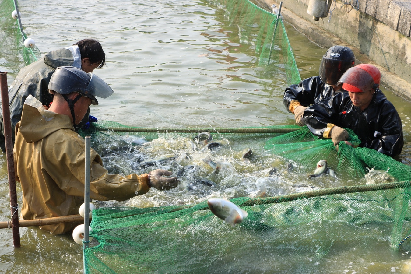 退伍不褪色奋斗在基层,退伍不褪色退役军人返乡
