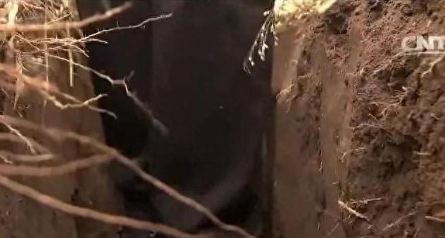 儿媳晒2000元年货，婆婆：啥时候回家？儿媳：不回，我儿子还没阳