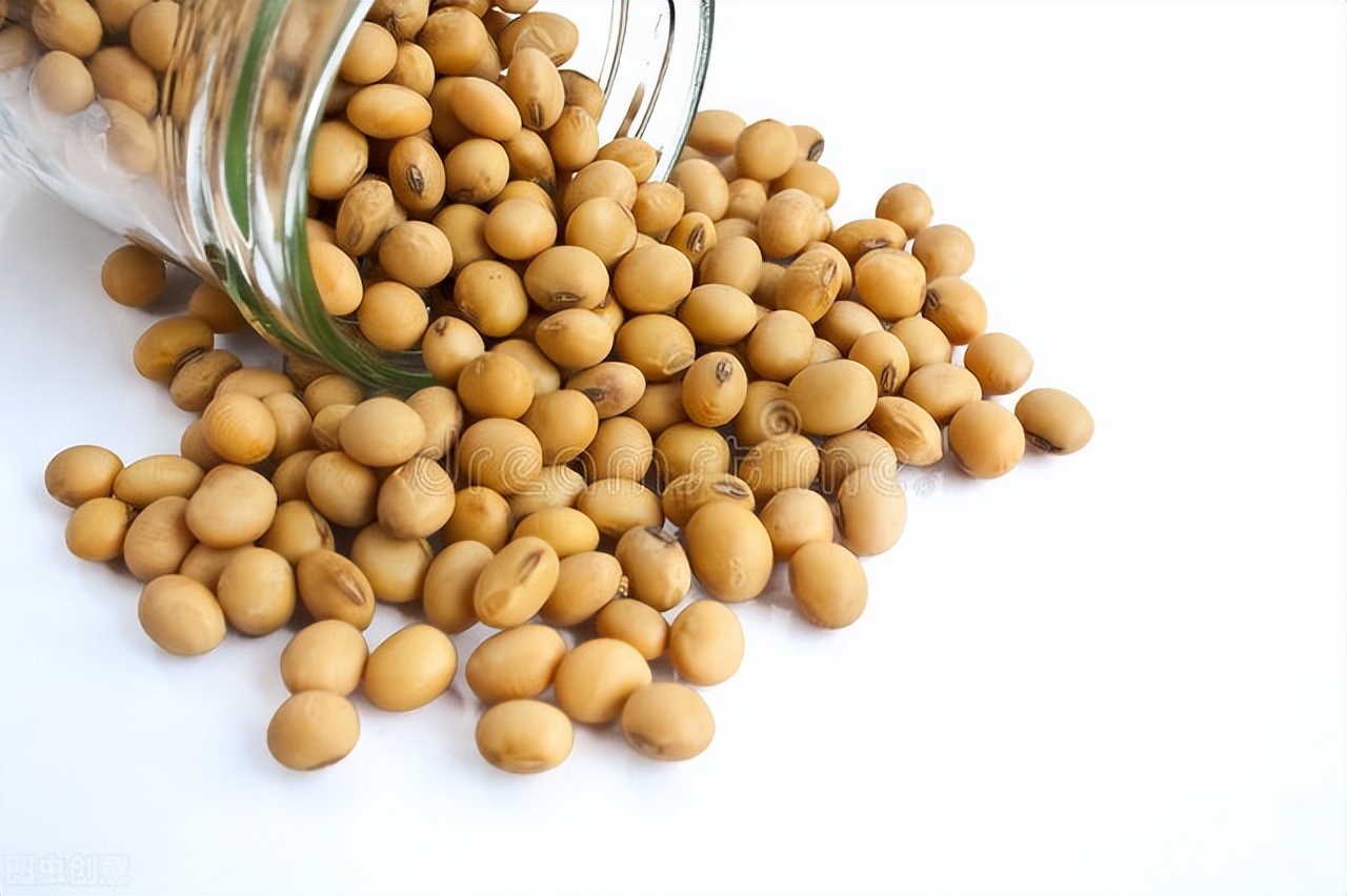 大豆油和油菜籽油哪个好,菜籽油花生油玉米油橄榄油哪个好