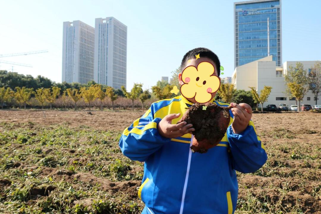 浦口有好学校吗,浦口有什么学校