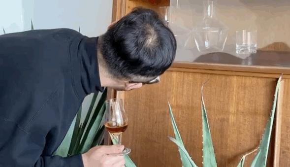 世界上最难调的威士忌,世界上最难喝的3杯酒