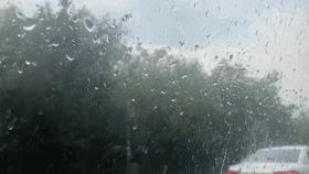 有关成都最近下雨情况,成都市下雨最新消息