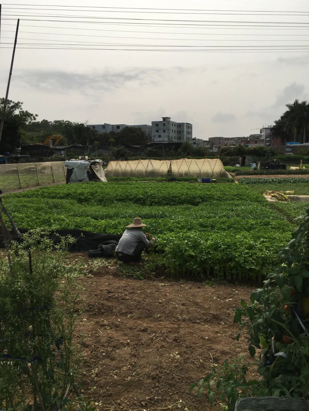 旭光车行雅迪电动车,旭光单车