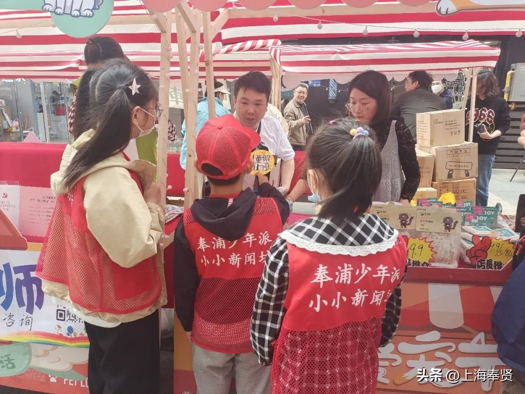 快来看！奉浦的这个宠物市集不一般→