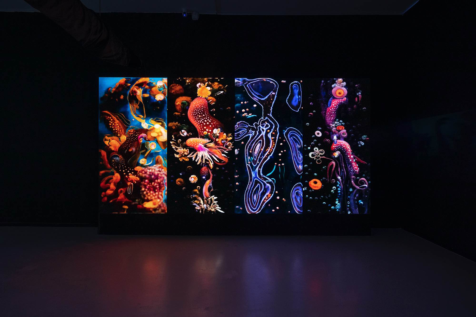 “共同的演化”——开启置身于AI时代的生命想象