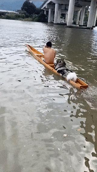 这么多年一直不明白，这键盘到底有什么用？