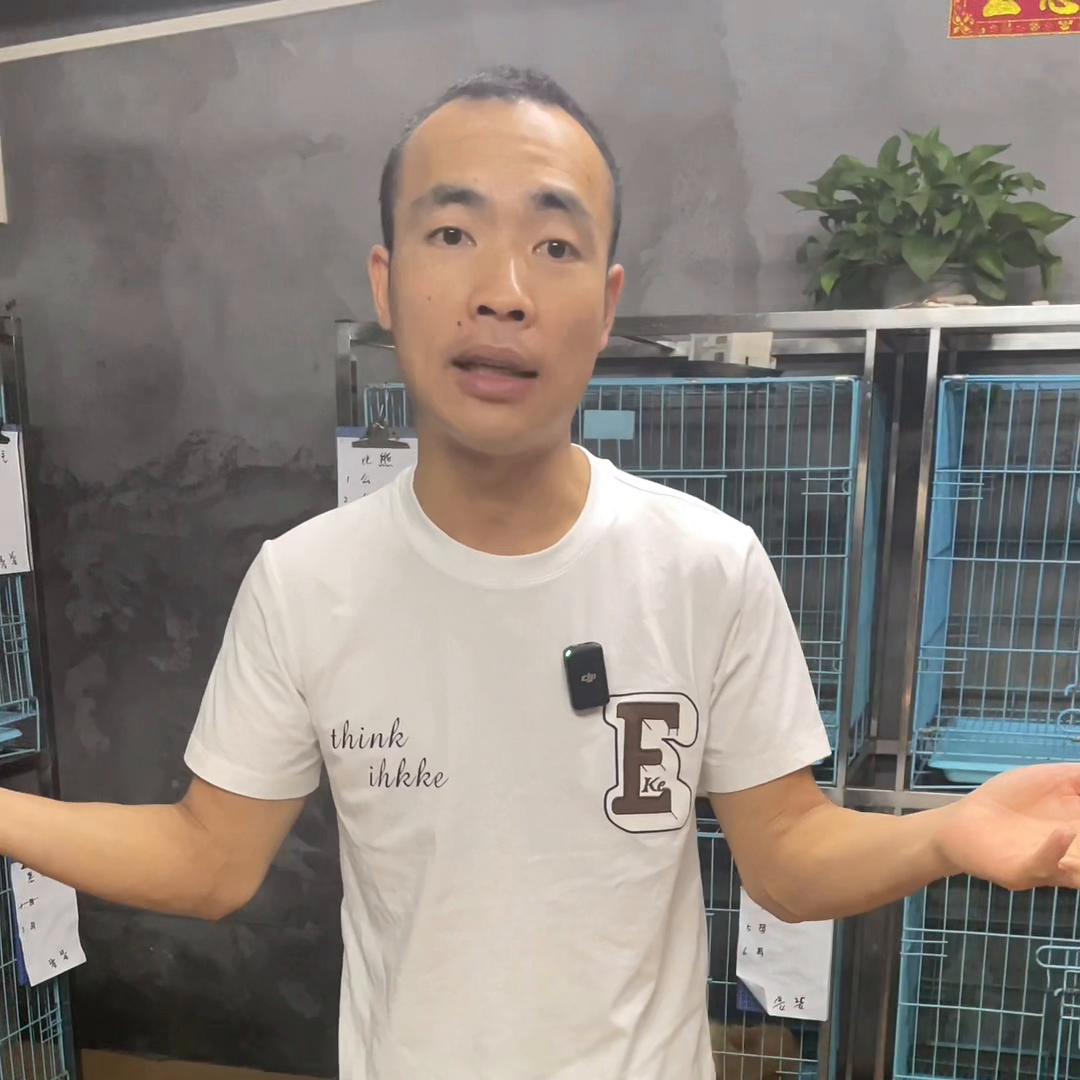 网上买狗被骗就没办法了吗,在网上买狗怎样才不会被骗