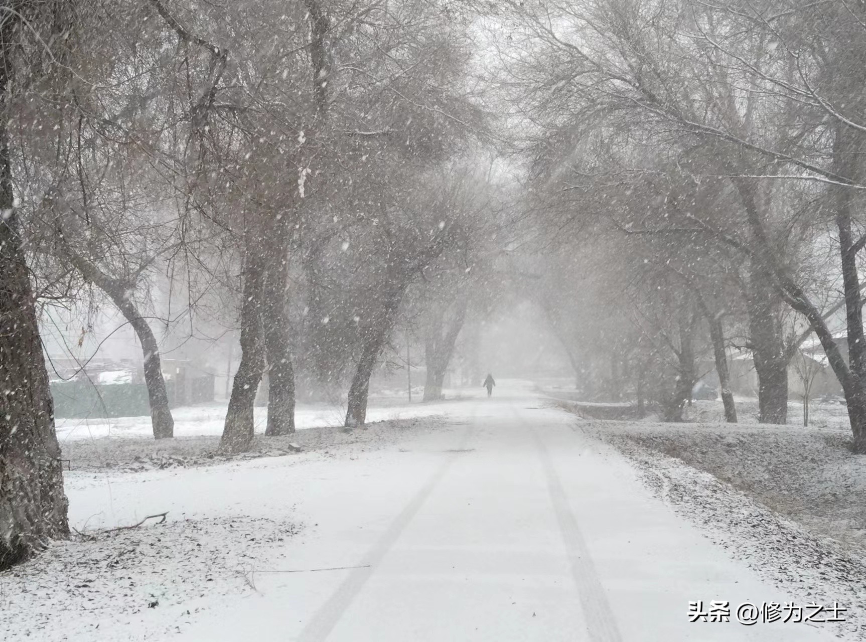 石河子连队,石河子军垦职工