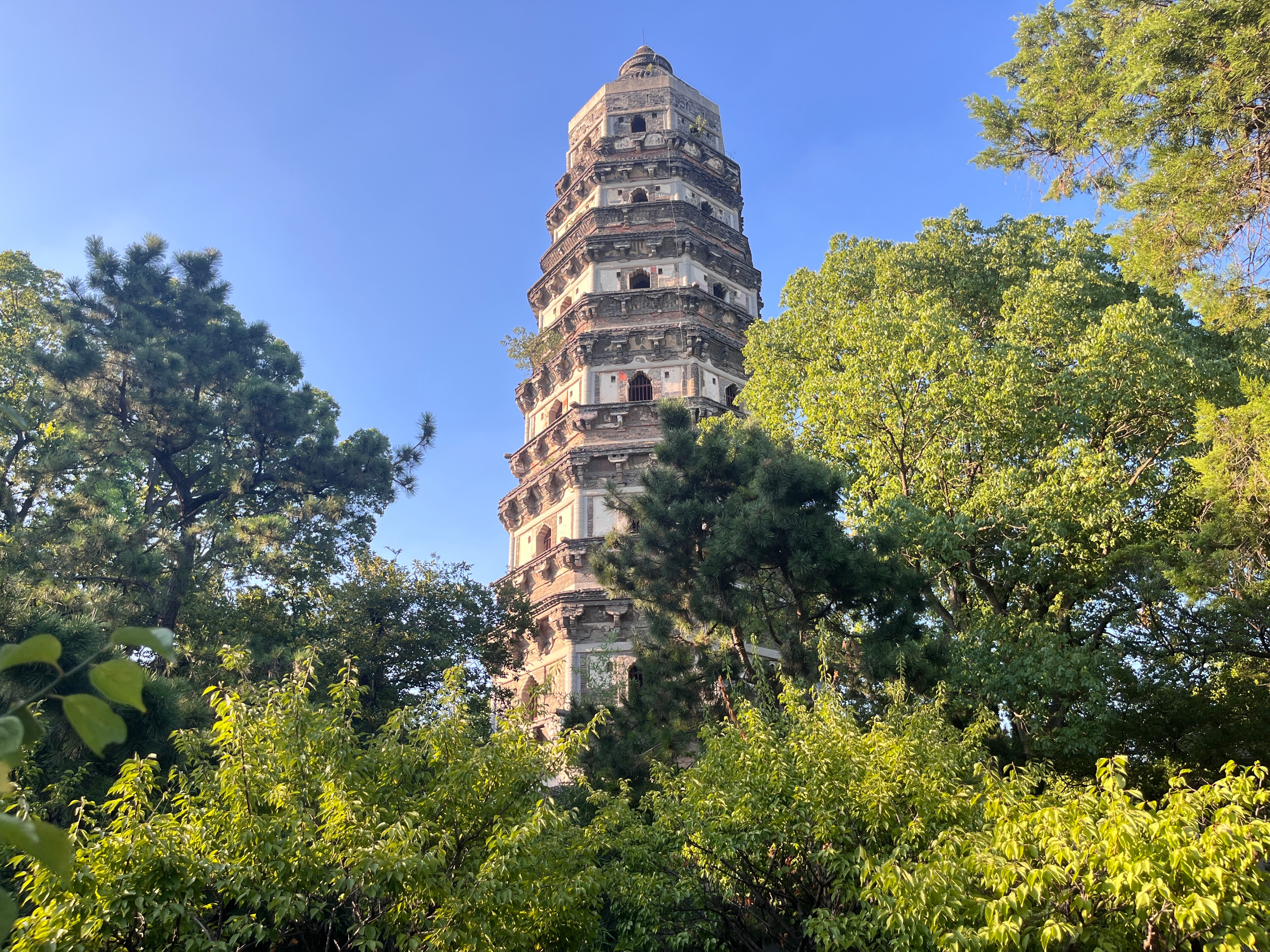 苏州园林和虎丘哪个值得游玩,苏州虎丘还有什么风景区呢