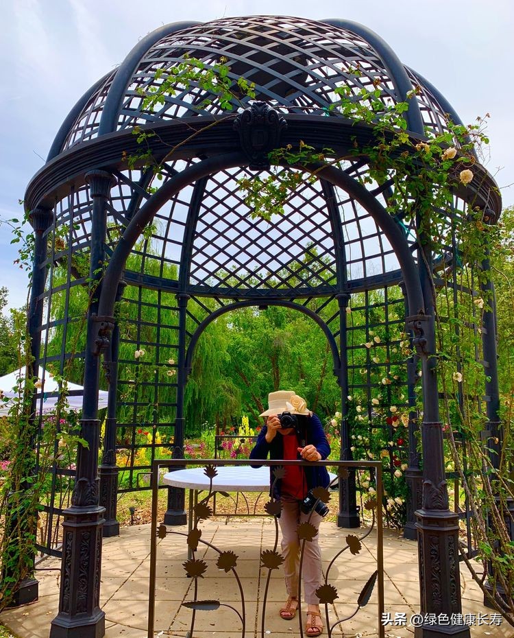 世界花园风景,世界花园